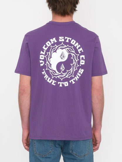 COUNTERBALANCE BSC SST