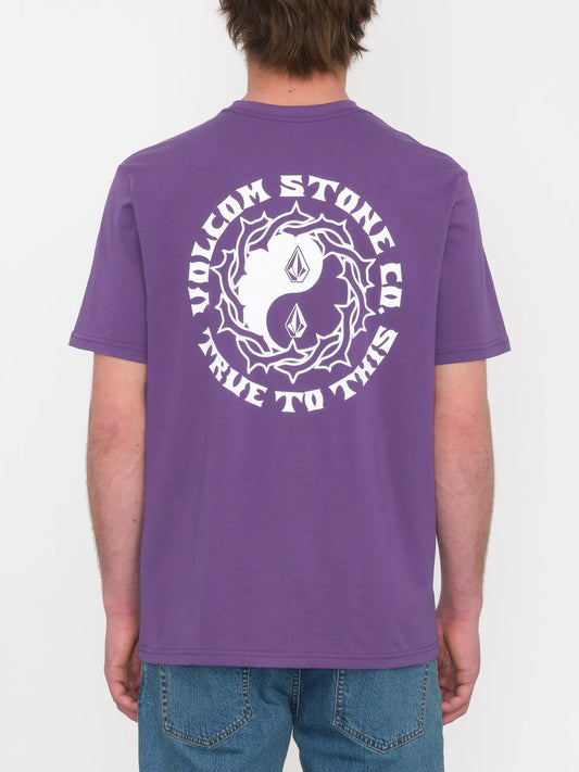 COUNTERBALANCE BSC SST