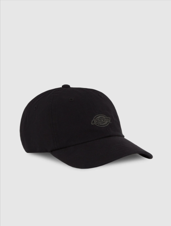 DUCK CANVAS DAD CAP
