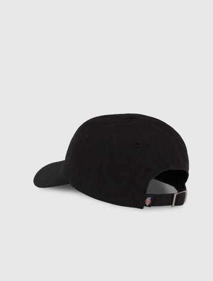 DUCK CANVAS DAD CAP
