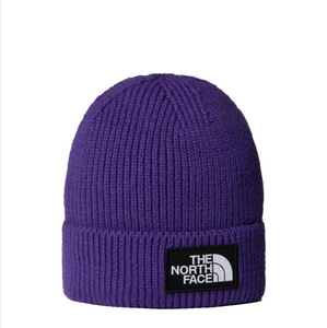 TNF LOGO BOX CUFFED BNE