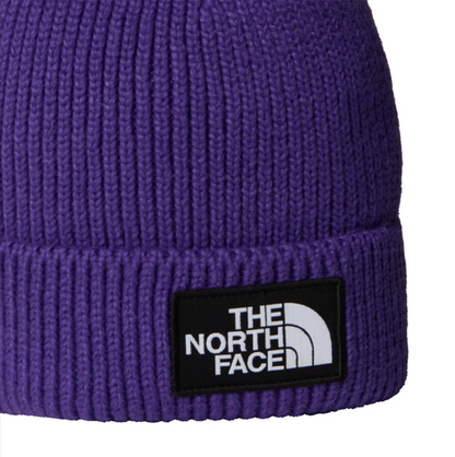 TNF LOGO BOX CUFFED BNE