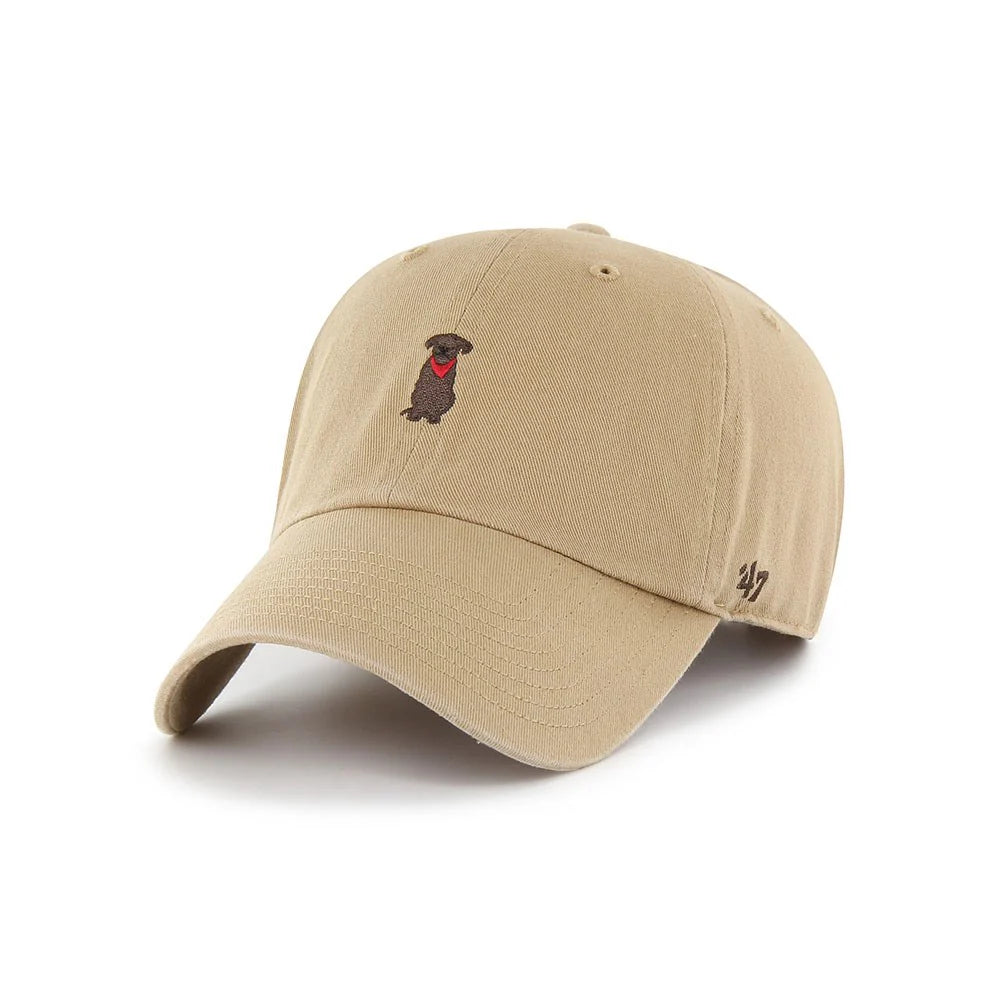 47 Cappellino Dogs Clean Up