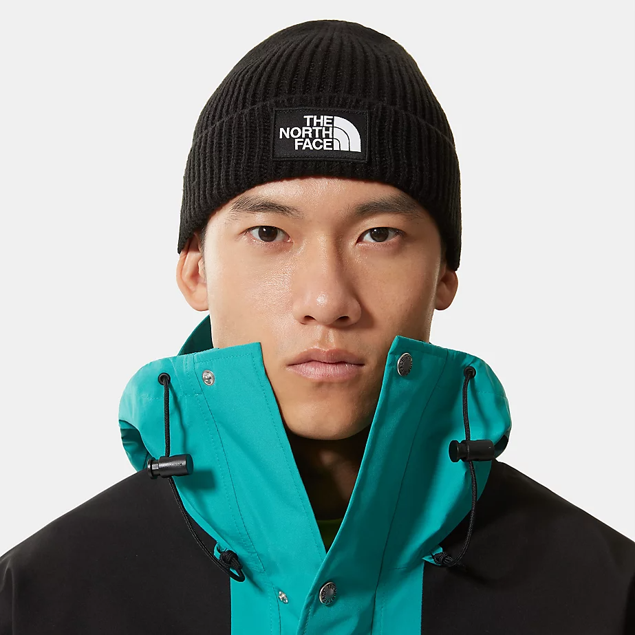 TNF LOGO BOX CUFFED BEANIE