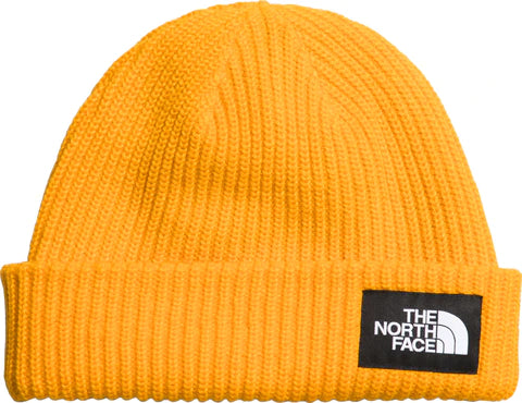 SALTY LINED BEANIE