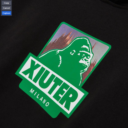 XIUTER LOGO HOODIE